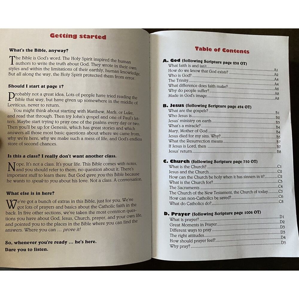 The Catholic Teen Bible StudyNAB Revised Edition Illustrated Inserts - Picture 5 of 16